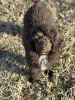 processed/069b663d-50dd-4d0d-8997-58ffe0ce9d4e/facility/353d921c-9569-4ec4-8cac-2764489a3eb6