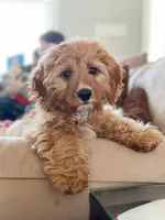 processed/069b663d-50dd-4d0d-8997-58ffe0ce9d4e/facility/406a2113-d7ed-4bc0-89a8-c0fdfa06d2d4