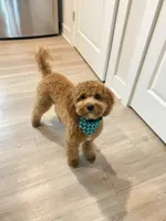 processed/069b663d-50dd-4d0d-8997-58ffe0ce9d4e/facility/49b4fae0-de74-4355-9fca-b17d83ea240f