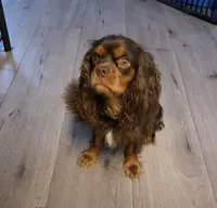 processed/069b663d-50dd-4d0d-8997-58ffe0ce9d4e/facility/8e4b7272-b161-4eff-a2b0-96ab8b9e2a60