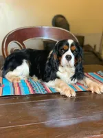 processed/069b663d-50dd-4d0d-8997-58ffe0ce9d4e/facility/ad94cddd-639b-42f5-a142-ffb4fa3be562