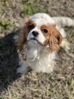 processed/069b663d-50dd-4d0d-8997-58ffe0ce9d4e/facility/d2677586-e169-4d14-9548-72149949fc0b