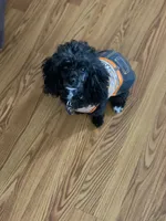 processed/069b663d-50dd-4d0d-8997-58ffe0ce9d4e/facility/d7cd817a-1834-49c5-af45-6f2377ee83fc