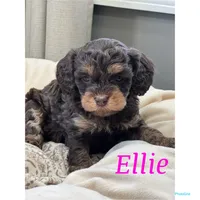 processed/069b663d-50dd-4d0d-8997-58ffe0ce9d4e/facility/dd1e418b-1a85-4157-95e7-80ce86a7a190