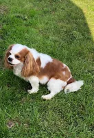 processed/069b663d-50dd-4d0d-8997-58ffe0ce9d4e/facility/f163c29f-c1b7-44ce-8404-49e9f7014ea9