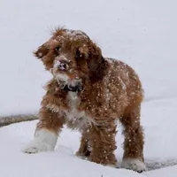 processed/069e3fdc-cb95-438f-ba9c-6ef492981b8f/facility/0bfca159-12b3-4f43-89a6-ab0997b7fc07