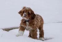 processed/069e3fdc-cb95-438f-ba9c-6ef492981b8f/facility/0bfca159-12b3-4f43-89a6-ab0997b7fc07