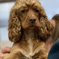 processed/069e3fdc-cb95-438f-ba9c-6ef492981b8f/facility/133ff94b-b740-4a0b-8925-755167afeba5