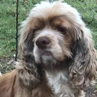 processed/069e3fdc-cb95-438f-ba9c-6ef492981b8f/facility/29da3c88-dadf-42aa-98e5-b9da8cce6300