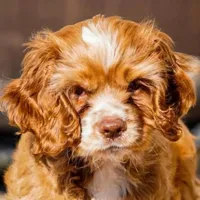 processed/069e3fdc-cb95-438f-ba9c-6ef492981b8f/facility/48394bd9-48a9-467c-808a-f348fca7699c