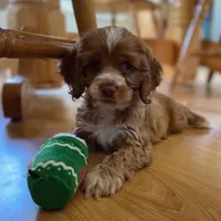 processed/069e3fdc-cb95-438f-ba9c-6ef492981b8f/facility/6197ba09-a52c-4510-b2de-b89aa67eb554