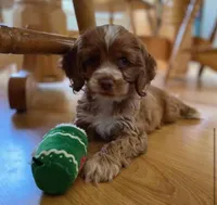 processed/069e3fdc-cb95-438f-ba9c-6ef492981b8f/facility/6197ba09-a52c-4510-b2de-b89aa67eb554