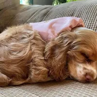 processed/069e3fdc-cb95-438f-ba9c-6ef492981b8f/facility/9271cf4c-f393-4eaa-b030-6fc93b20b323