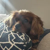 processed/069e3fdc-cb95-438f-ba9c-6ef492981b8f/facility/9ba33b86-f571-4418-bb16-d8d8e6f54ac1