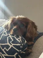 processed/069e3fdc-cb95-438f-ba9c-6ef492981b8f/facility/9ba33b86-f571-4418-bb16-d8d8e6f54ac1