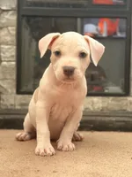 processed/06b1b555-9f82-4d3b-9dc7-777fc1720d57/listing/12cca53e-85f8-4e5c-8735-206e9a32d69b/144319d8-2aac-4e2d-8838-3689809dab84