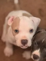 processed/06b1b555-9f82-4d3b-9dc7-777fc1720d57/listing/12cca53e-85f8-4e5c-8735-206e9a32d69b/2415c628-35bc-469e-8751-f73497ae6924