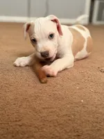 processed/06b1b555-9f82-4d3b-9dc7-777fc1720d57/listing/12cca53e-85f8-4e5c-8735-206e9a32d69b/28ac0d07-63b2-4dc8-a196-18bad375f112