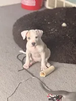 processed/06b1b555-9f82-4d3b-9dc7-777fc1720d57/listing/12cca53e-85f8-4e5c-8735-206e9a32d69b/9b627f8c-ff91-47a2-b607-591fc7bbf9ed