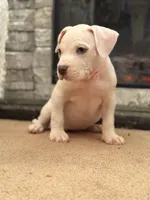 processed/06b1b555-9f82-4d3b-9dc7-777fc1720d57/listing/12cca53e-85f8-4e5c-8735-206e9a32d69b/9d05ce87-a51f-40ce-9172-a28fd30dd78f