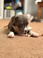 processed/06b1b555-9f82-4d3b-9dc7-777fc1720d57/listing/1d163a15-87b4-4fdd-9375-a217b6116bb1/038fcd7c-49a7-4675-bec8-6ffbb8e62847