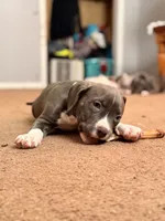 processed/06b1b555-9f82-4d3b-9dc7-777fc1720d57/listing/1d163a15-87b4-4fdd-9375-a217b6116bb1/44f1f949-9473-42ca-9882-afbef93b4876