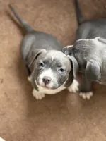 processed/06b1b555-9f82-4d3b-9dc7-777fc1720d57/listing/1d163a15-87b4-4fdd-9375-a217b6116bb1/b5502d7e-dcf1-46fb-89de-ad49991941c1