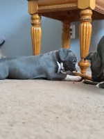 processed/06b1b555-9f82-4d3b-9dc7-777fc1720d57/listing/1d163a15-87b4-4fdd-9375-a217b6116bb1/fb36cf9d-7d94-4d3b-9d40-834e6ff7dc78