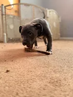 processed/06b1b555-9f82-4d3b-9dc7-777fc1720d57/listing/99a9ba2e-bb4c-4902-9262-08de19d9156f/1955e041-9a40-42df-b927-19dace2ea79c