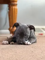 processed/06b1b555-9f82-4d3b-9dc7-777fc1720d57/listing/99a9ba2e-bb4c-4902-9262-08de19d9156f/a64fedaf-0455-4c88-a3cf-6fb07b009d37