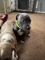 processed/06b1b555-9f82-4d3b-9dc7-777fc1720d57/listing/99a9ba2e-bb4c-4902-9262-08de19d9156f/a92e227b-be12-49f3-93ac-1bd8c49d618a