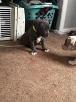 processed/06b1b555-9f82-4d3b-9dc7-777fc1720d57/listing/99a9ba2e-bb4c-4902-9262-08de19d9156f/aa777d31-1359-4368-ab3c-acd1322950d4