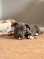 processed/06b1b555-9f82-4d3b-9dc7-777fc1720d57/listing/99a9ba2e-bb4c-4902-9262-08de19d9156f/b8a2cc37-57f5-463a-8c7b-2fa813d5bcd3