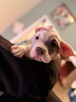 processed/06b1b555-9f82-4d3b-9dc7-777fc1720d57/listing/e6650821-ef61-4e15-9bf5-bcfba39b2388/0bc7ffba-e60c-4230-8dcc-0808f030782c