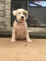 processed/06b1b555-9f82-4d3b-9dc7-777fc1720d57/listing/e6650821-ef61-4e15-9bf5-bcfba39b2388/341cd1a5-6d5b-47d7-a913-25e8520bf3a9