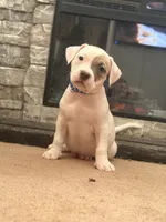 processed/06b1b555-9f82-4d3b-9dc7-777fc1720d57/listing/e6650821-ef61-4e15-9bf5-bcfba39b2388/a4b40cfd-433b-4c78-9730-9445ea6683a8