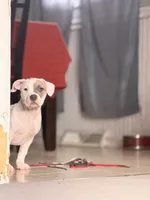 processed/06b1b555-9f82-4d3b-9dc7-777fc1720d57/listing/e6650821-ef61-4e15-9bf5-bcfba39b2388/e8a6eb33-f14a-4cbb-a60b-ac0fa5b3f015