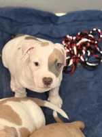 processed/06b1b555-9f82-4d3b-9dc7-777fc1720d57/listing/e6650821-ef61-4e15-9bf5-bcfba39b2388/ea3b649e-c491-4278-8dcb-063b7b7d64a3