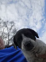 processed/06ba533d-8631-4061-bf02-a134f03795fc/listing/00a95213-b01c-4549-9eca-9cdf3be823d2/67b339f9-f028-4fd9-abb2-9e8d20fae6a3