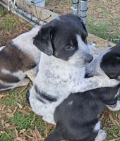 processed/06ba533d-8631-4061-bf02-a134f03795fc/listing/00a95213-b01c-4549-9eca-9cdf3be823d2/dc2d99a2-767f-43e1-855e-c636198117b2