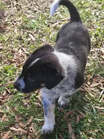 processed/06ba533d-8631-4061-bf02-a134f03795fc/listing/03977909-e73a-4fac-b2bf-b815424597c5/729b9545-c742-4c71-ac2a-18174bc5147a