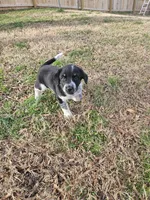 processed/06ba533d-8631-4061-bf02-a134f03795fc/listing/03977909-e73a-4fac-b2bf-b815424597c5/8c1a8964-99c2-4c94-8c06-45eca2759e62