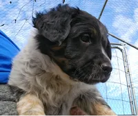 processed/06ba533d-8631-4061-bf02-a134f03795fc/listing/03977909-e73a-4fac-b2bf-b815424597c5/941e7376-425b-4c3b-9b5e-81dba620f340