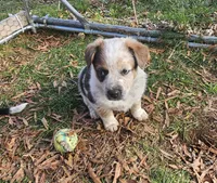 processed/06ba533d-8631-4061-bf02-a134f03795fc/listing/0f12a986-57f6-4e29-95c3-0a0d1ae0f0c6/12f0eadf-f54b-4ace-9a51-dbc3b10b18cd