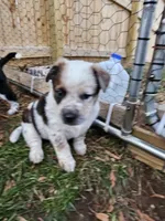 processed/06ba533d-8631-4061-bf02-a134f03795fc/listing/0f12a986-57f6-4e29-95c3-0a0d1ae0f0c6/6223c5e8-4ffa-4fe1-97fa-04f68877403d