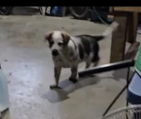 processed/06ba533d-8631-4061-bf02-a134f03795fc/listing/0f12a986-57f6-4e29-95c3-0a0d1ae0f0c6/8da9cc97-4a74-44f3-8689-e31e891f73ed