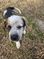 processed/06ba533d-8631-4061-bf02-a134f03795fc/listing/0f12a986-57f6-4e29-95c3-0a0d1ae0f0c6/93a5622b-c592-497f-933e-e31ec48f6472