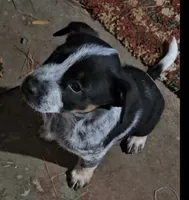 processed/06ba533d-8631-4061-bf02-a134f03795fc/listing/3890180b-d9b8-4bcb-8459-9ab20092302d/9e9a1c48-a47f-4ad7-8931-24e83fcdbbb5