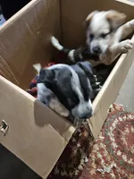 processed/06ba533d-8631-4061-bf02-a134f03795fc/listing/3890180b-d9b8-4bcb-8459-9ab20092302d/b14cdbcb-c776-4720-aa62-217f4f8125bd