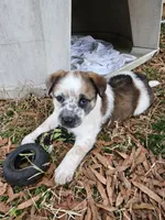 processed/06ba533d-8631-4061-bf02-a134f03795fc/listing/9e7586a6-133c-42cb-ba73-55a7553c79e6/5f9df585-76ae-4c29-9d04-860e7fcbdee6